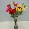 wholesale poppy flowers